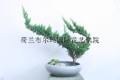 笑傲江湖