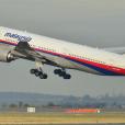 MH370(MH370航班)