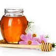 honey(英文單詞)