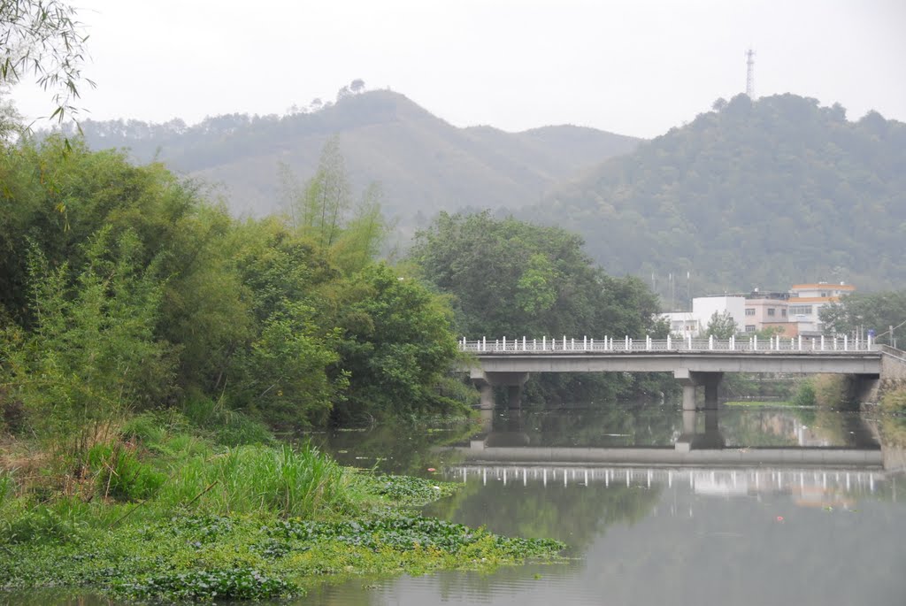 崗子上村(雲南保山市板橋鎮下轄村)