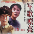 軍歌嘹亮(2002年孫紅雷主演的電視劇)