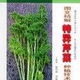 圖文精解特異芹菜種植技術