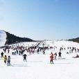 雲居滑雪場