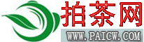 拍茶網LOGO