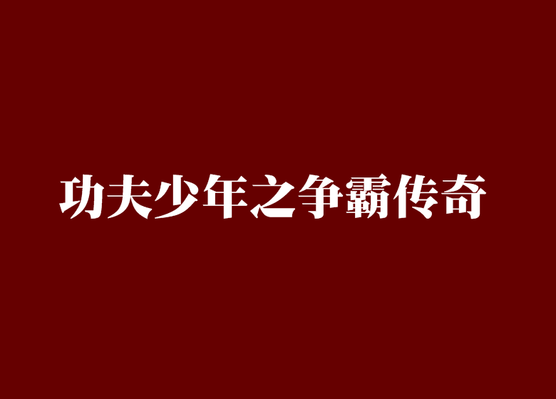 功夫少年之爭霸傳奇