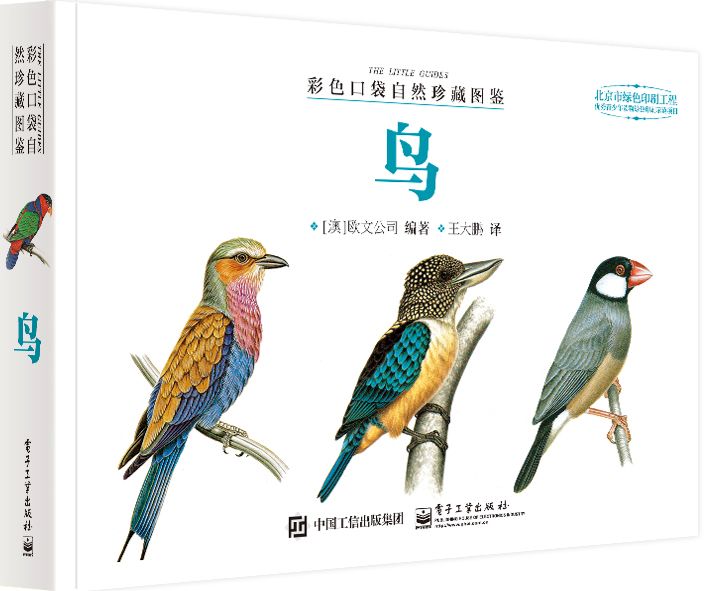 彩色口袋自然珍藏圖鑑鳥（全彩）