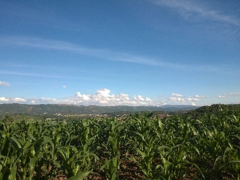 小足錄村