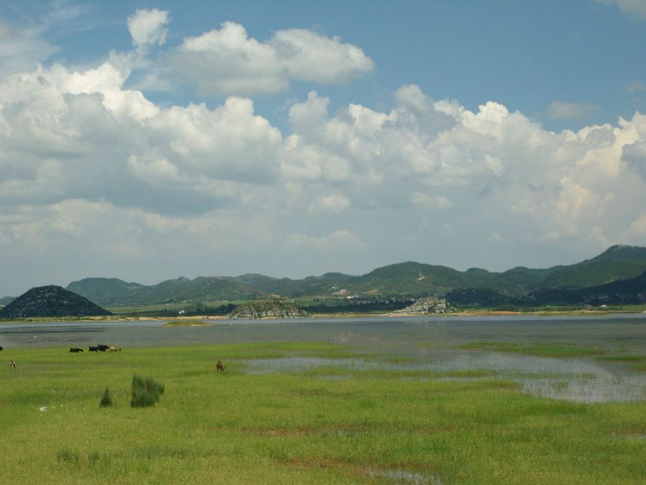 雲南霑益海峰濕地