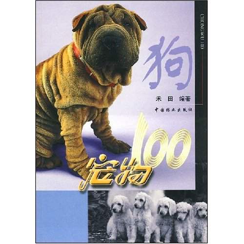 寵物100：狗