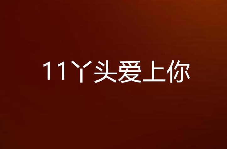 11丫頭愛上你