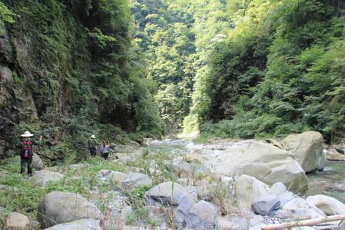 雷公山國家級自然保護區