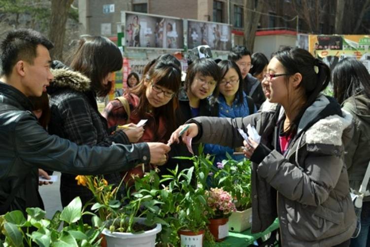 舍花舍草