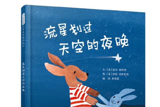 流星划過天空的夜晚——（啟發童書館出品）