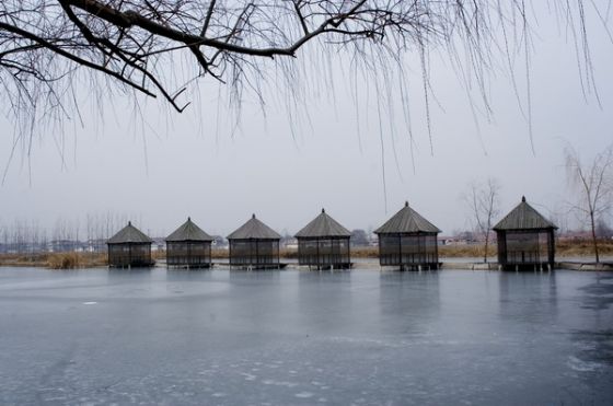 山東馬踏湖國家濕地公園