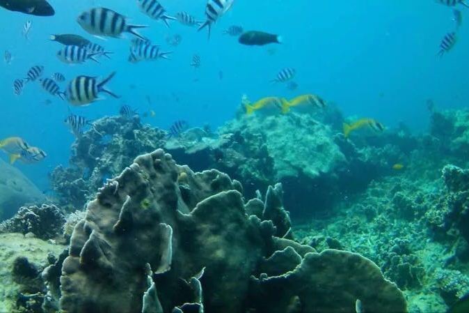 台灣澎湖水族館