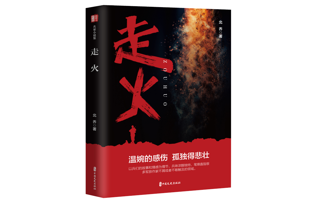 走火(中國文史出版社於2023年出版的小說)