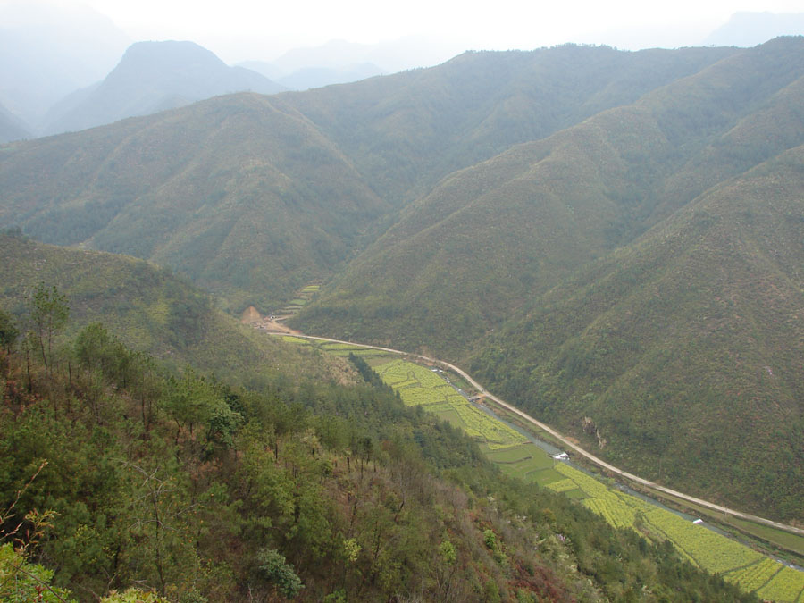 真武山風景