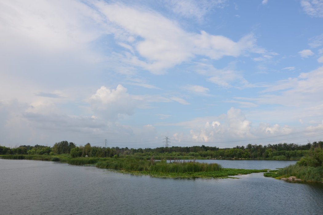 濰坊白浪河國家濕地公園