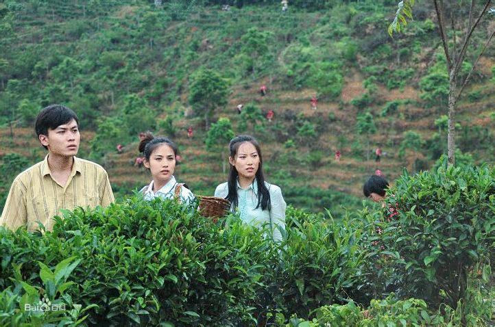 山那邊的女人