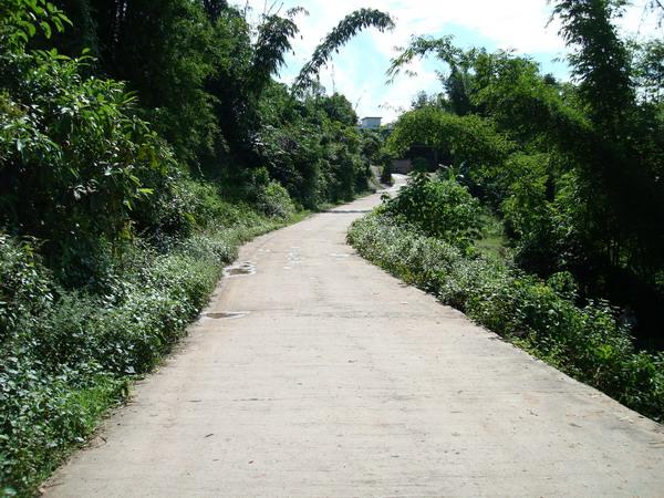 進村道路