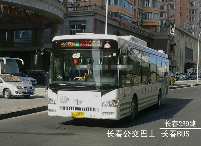 長春公交G239路