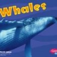 Whales(2004年Capstone Pr Inc出版的圖書)