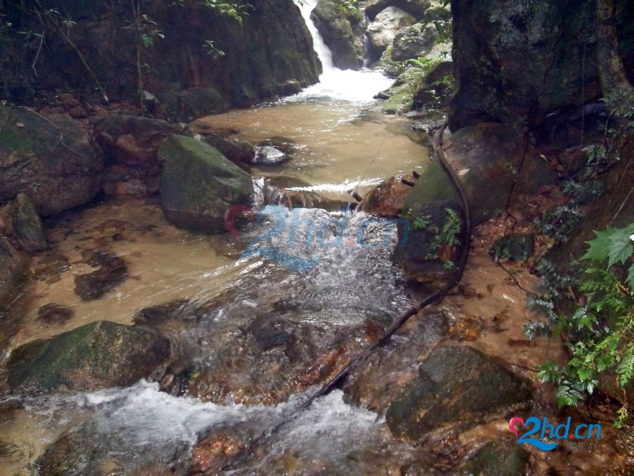 王子山生態旅遊區