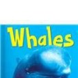 Whales(2005年Capstone Pr Inc出版的圖書)