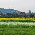 橫嶺村(江西省贛州市會昌縣站塘鄉橫嶺村)