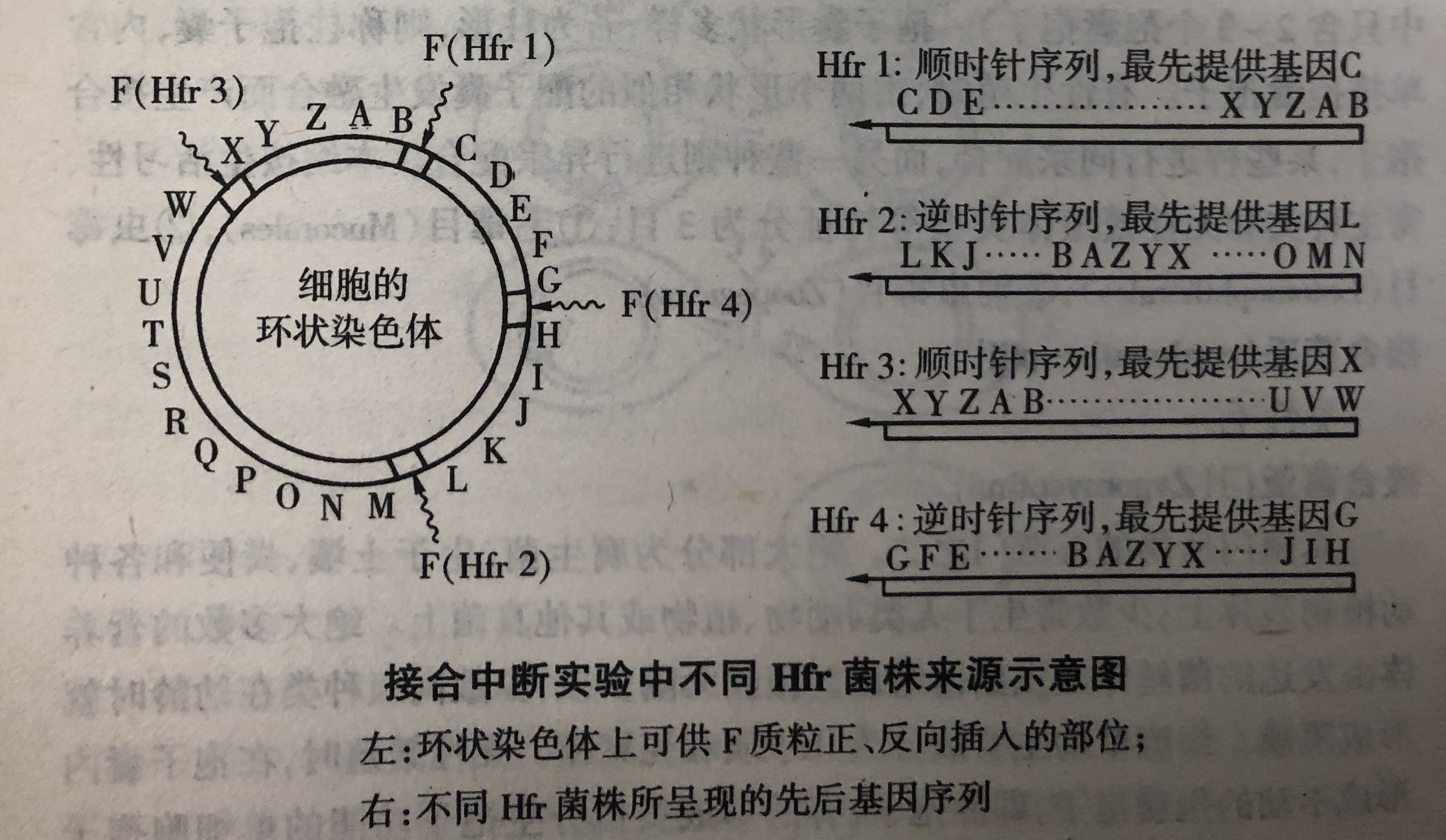 接合中斷法