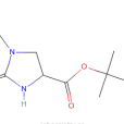 (4S)-1-甲基-2-氧代咪唑啉-4-甲酸叔丁酯