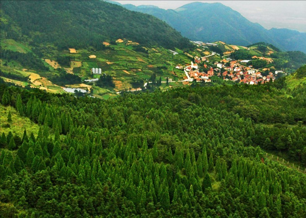 盤前村(浙江省金華市羅店鎮盤前村)