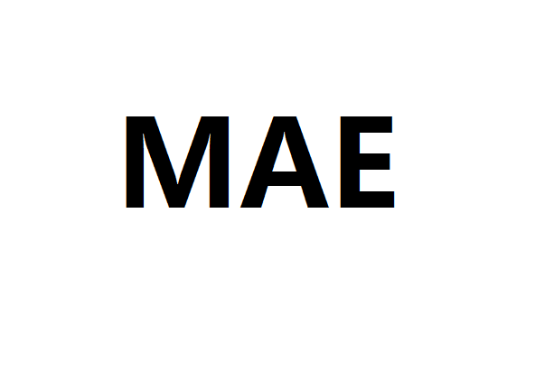 MAE(多義辭彙)