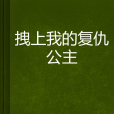 拽上我的復仇公主(雪尊小盆友創作的網路小說)