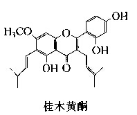 桂木黃酮