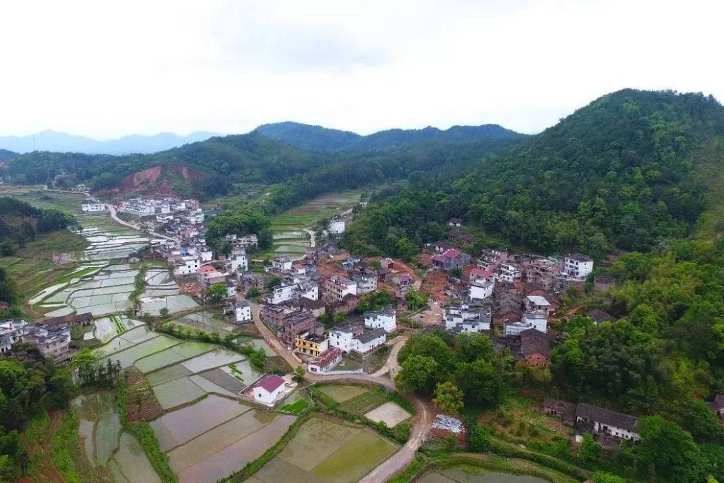 芳溪村(江西吉安市遂川縣草林鎮下轄行政村)