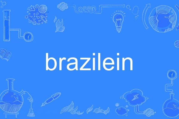 brazilein