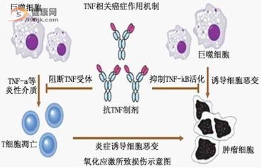 生物多靶點消癌療法