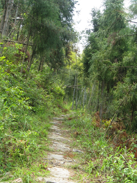 分水嶺古道