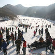 九頂塔滑雪場