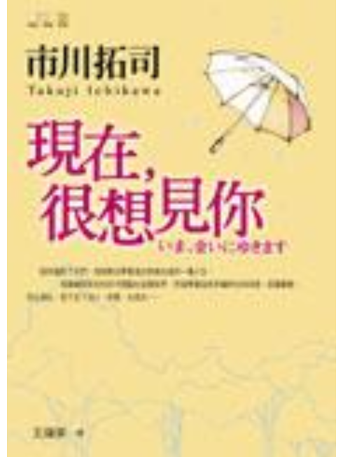 現在，很想見你(2005年平裝本出版有限公司出版的圖書)