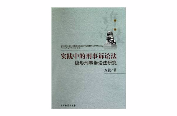 實踐中的刑事訴訟法：隱形刑事訴訟法研究