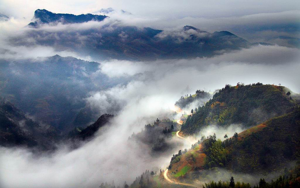 雷公山國家級自然保護區