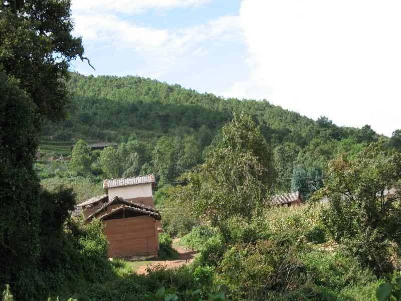 白雲蒼蒲塘村