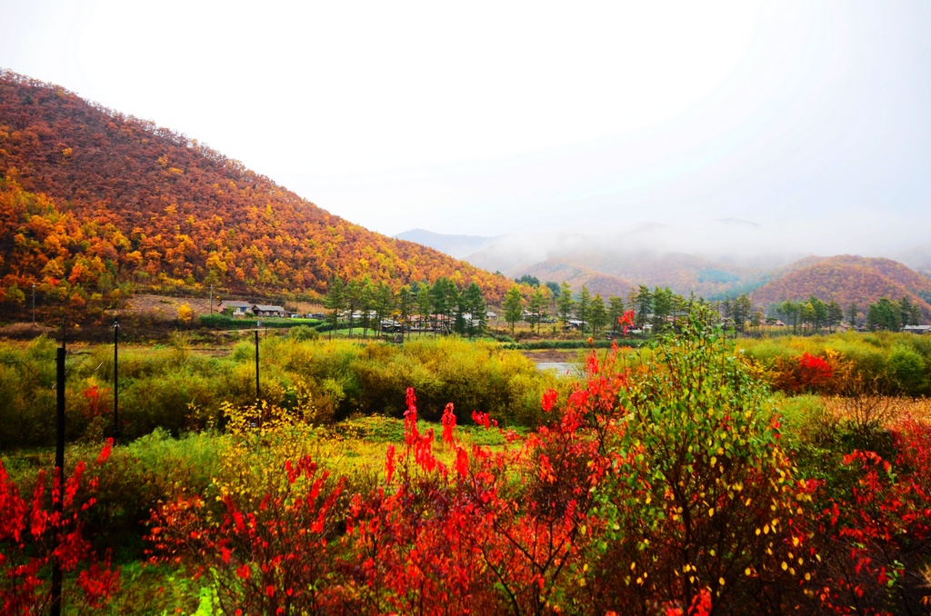 肇岳山國家濕地公園