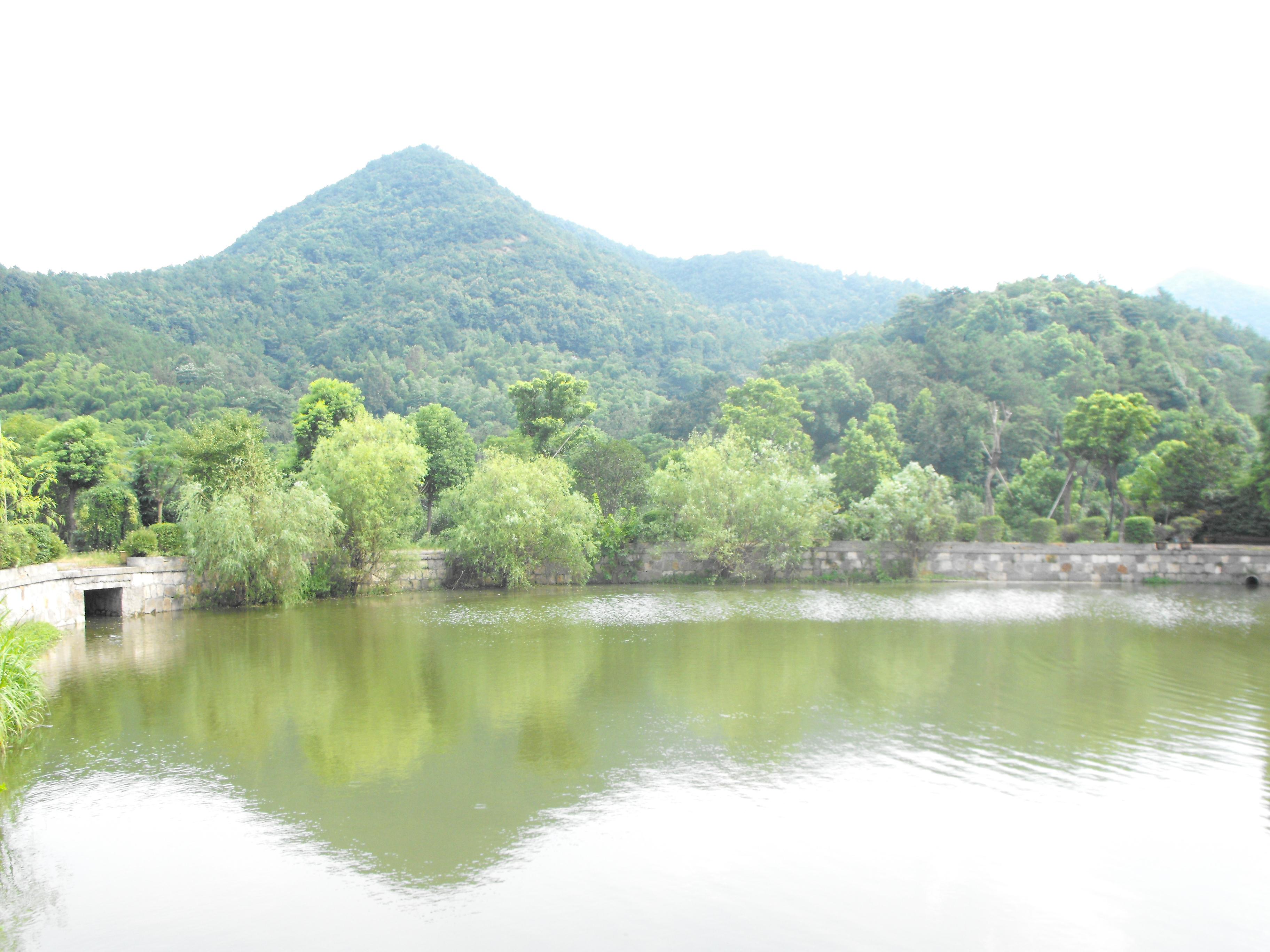 黃家章村