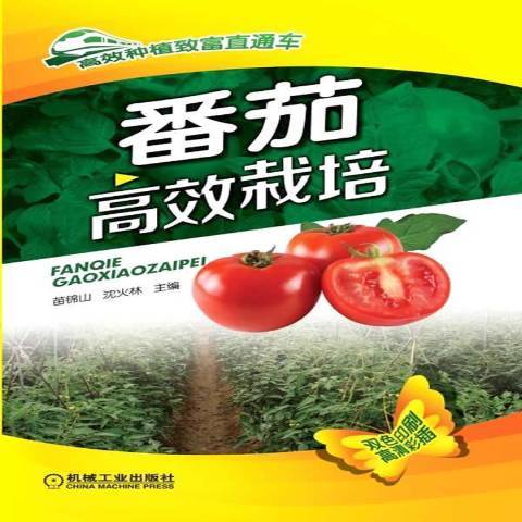 番茄高效栽培(2015年機械工業出版社出版的圖書)