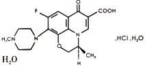 鹽酸左氧氟沙星滴耳液