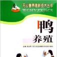 鴨養殖(2005年湖南科學技術出版社出版的圖書)