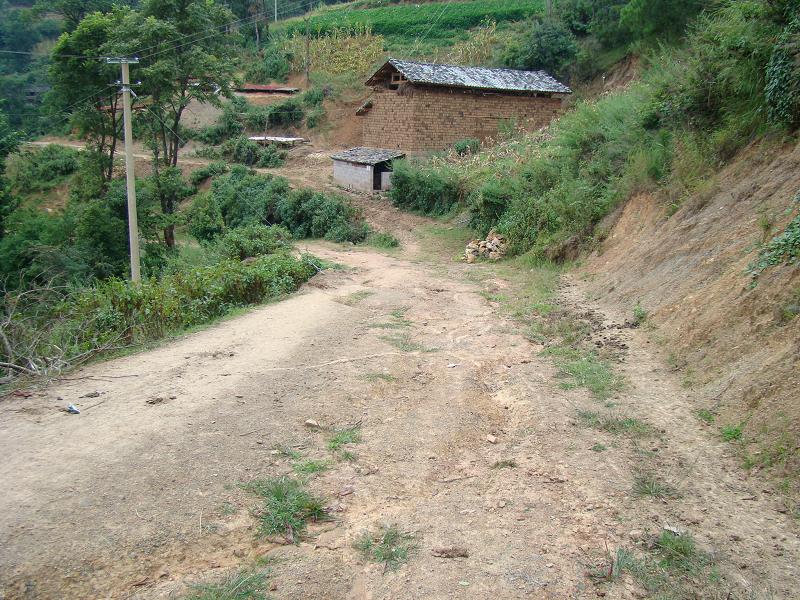 上李子梅自然村通村道路